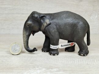 Schleich - 14344 Asiatische Elefantenkuh (Fähnchen-Sammler)´