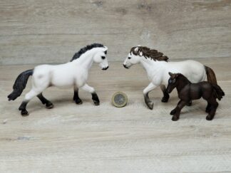 Schleich - Camargue Familie komplett #2 (RAR)