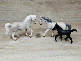 Schleich - Lipizzaner Familie komplett #2