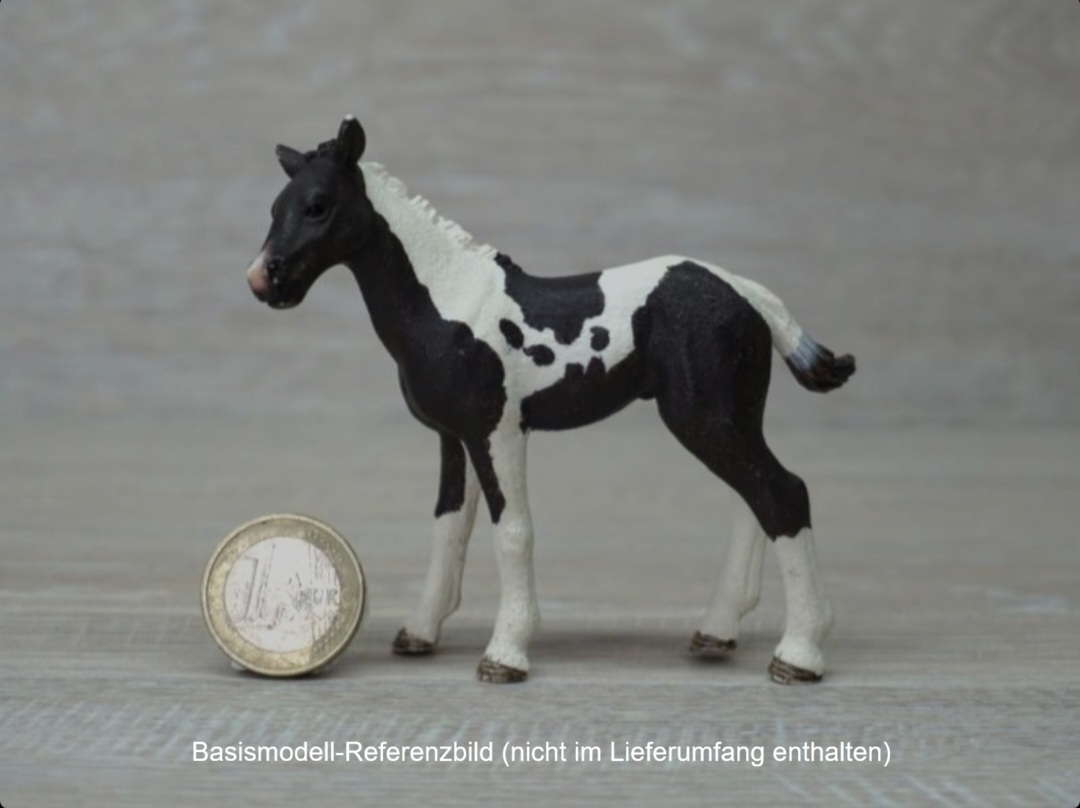Schleich - 13803 Pinto Fohlen