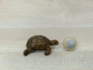 Schleich - 14404 Schildkröte [Die Haustiere – Nr. 4/16]