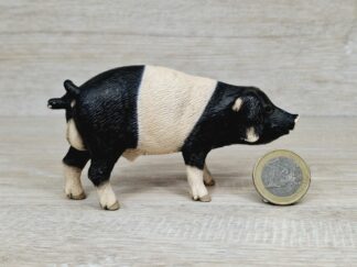 Schleich - 13643 Schwäbisch-Hällischer Eber
